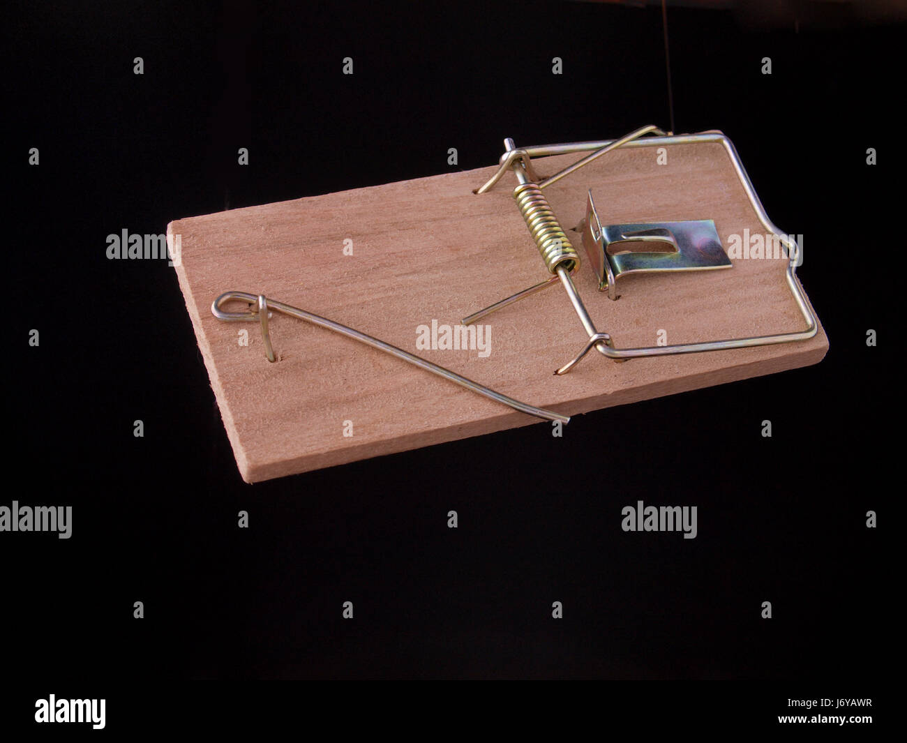 isolated rodent mice trap catch mousetrap extermination mouse danger