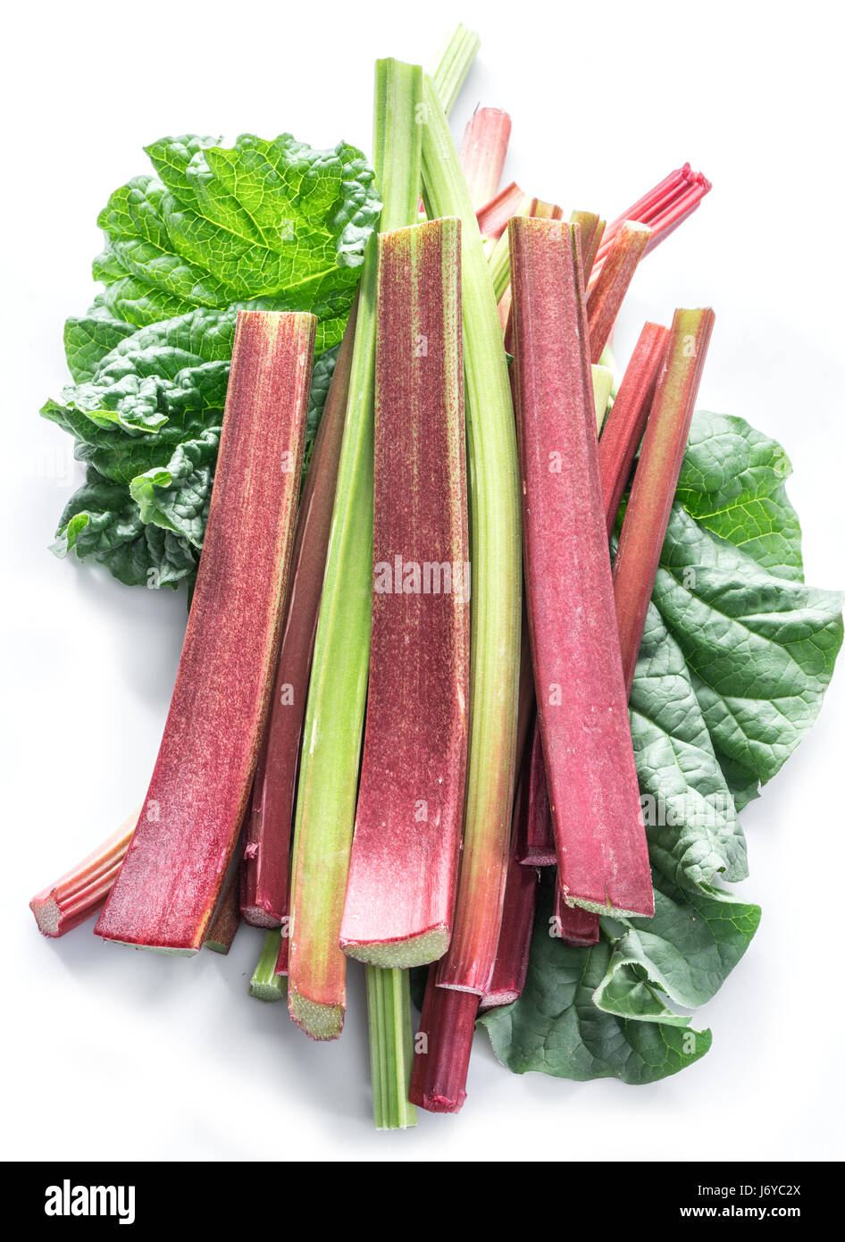 Edible rhubarb stalks on the white background. Stock Photo