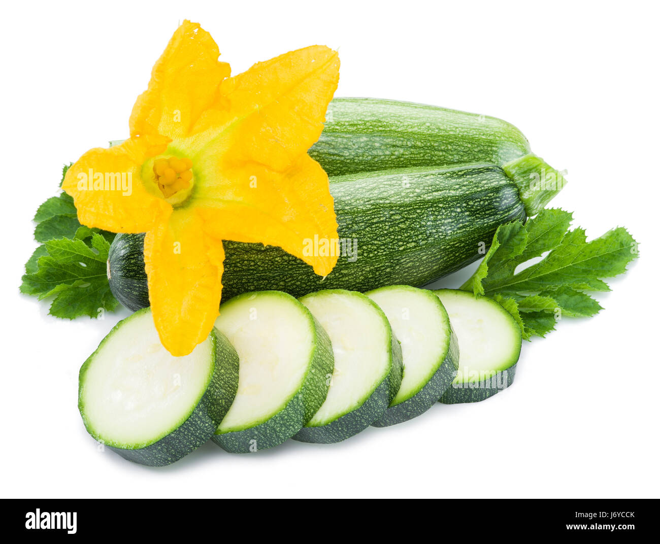 Zucchini with slices and flower on a white background. Stock Photo