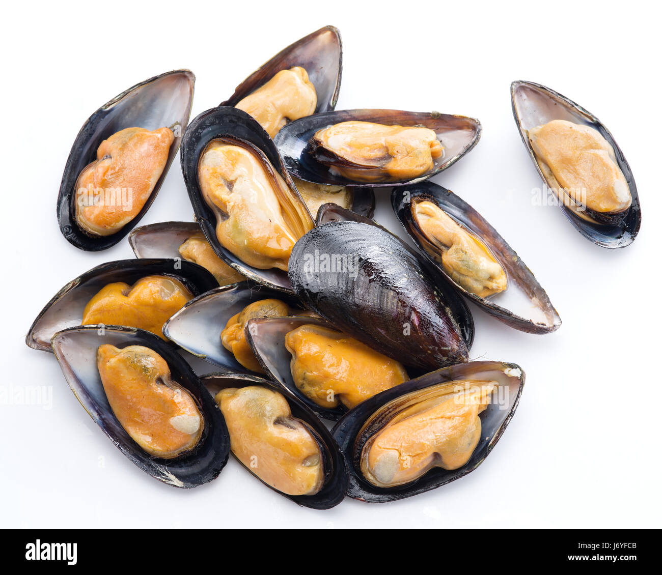 Boiled mussels on a white background. Stock Photo