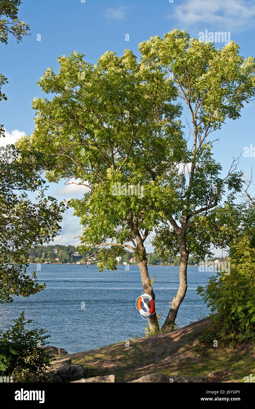 bathing place in sweden Stock Photo - Alamy