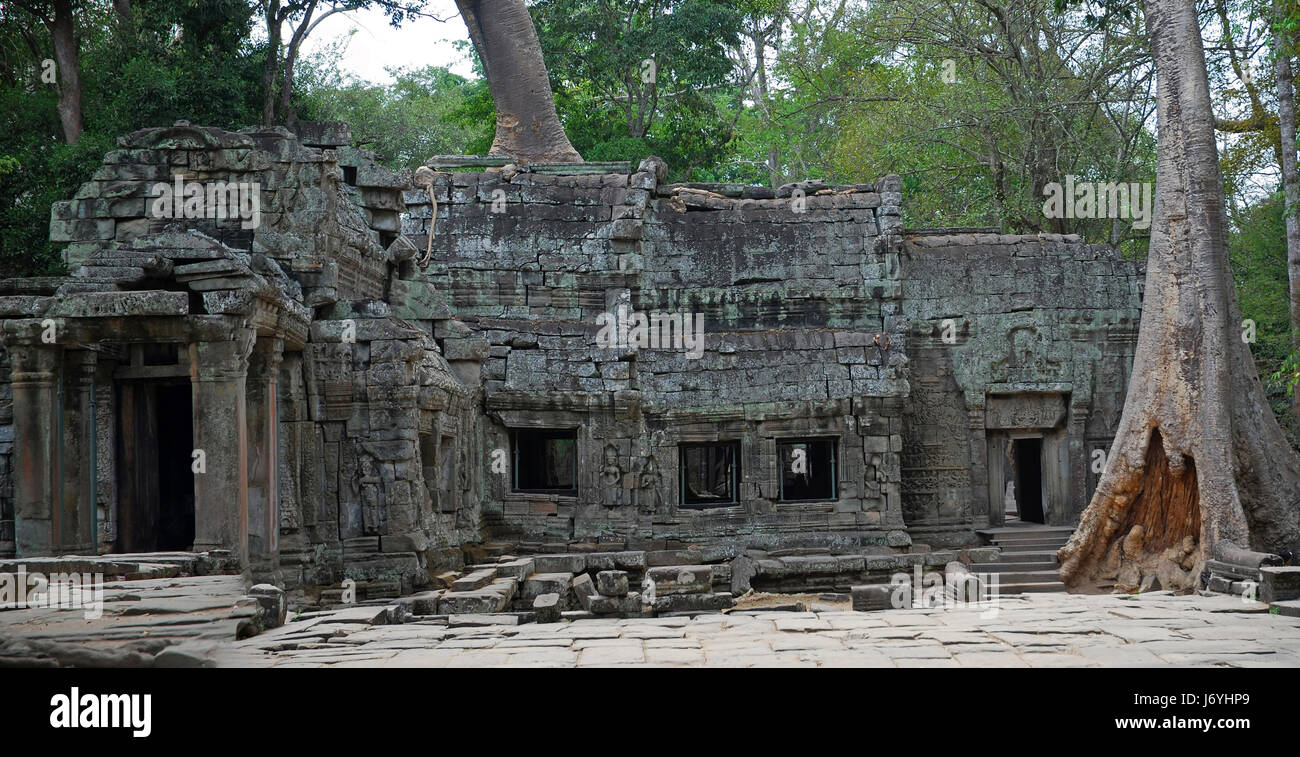 temple cambodia antiquity historical religion belief temple culture tree stone Stock Photo