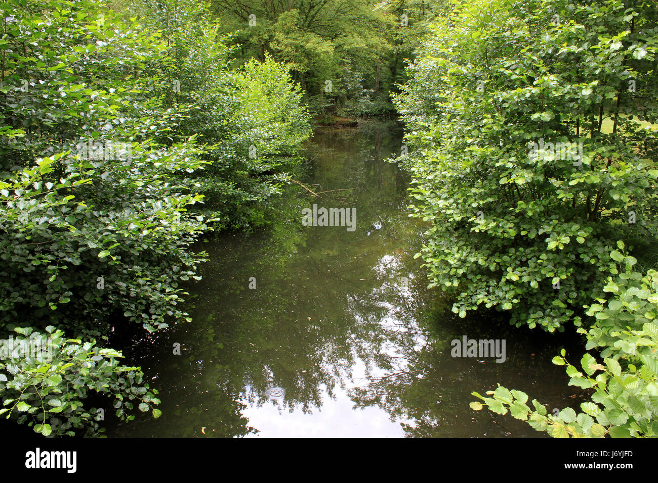 Watery environment hi-res stock photography and images - Alamy