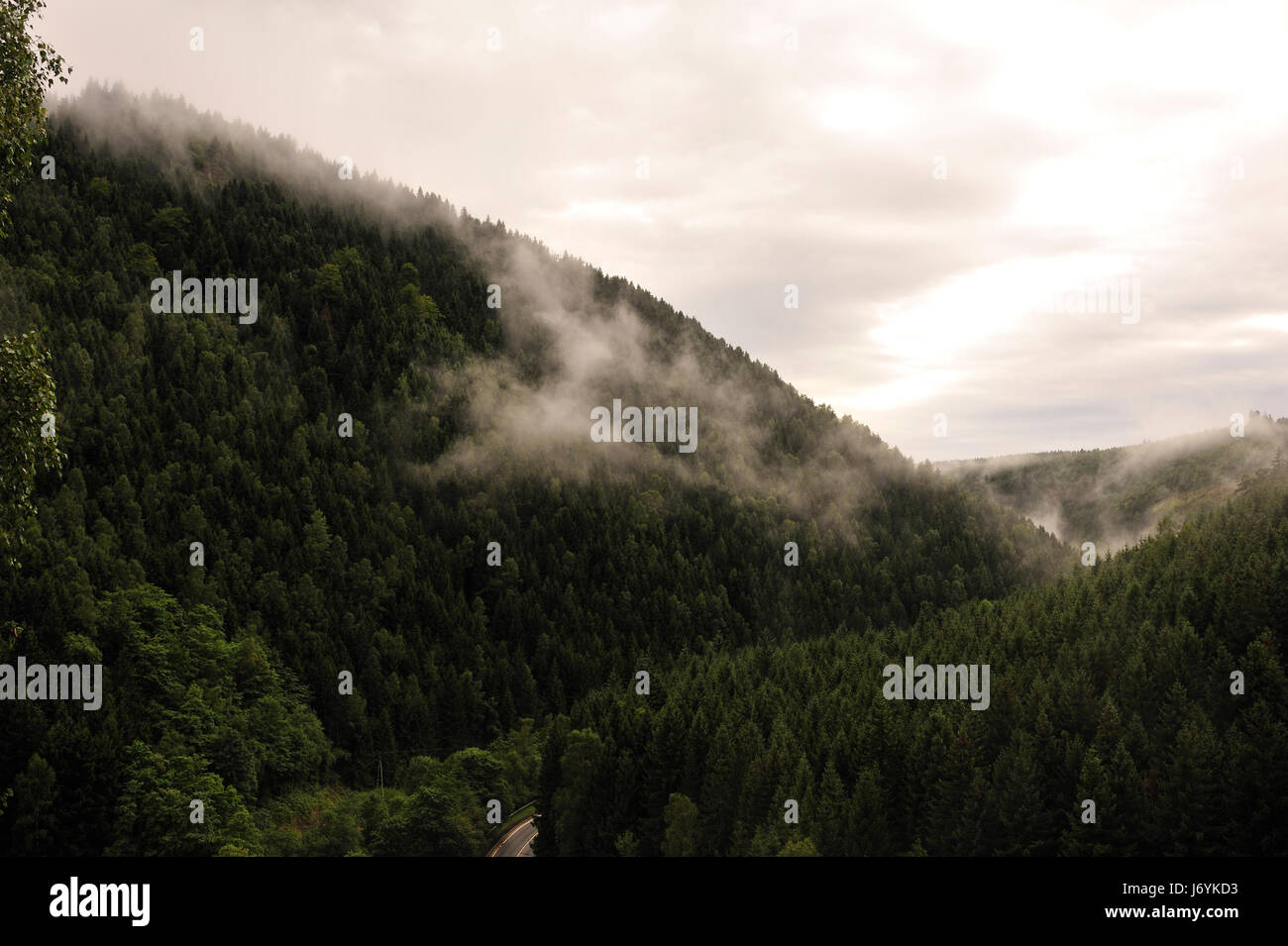 okertal in fog and rain,harz,germany. Stock Photo
