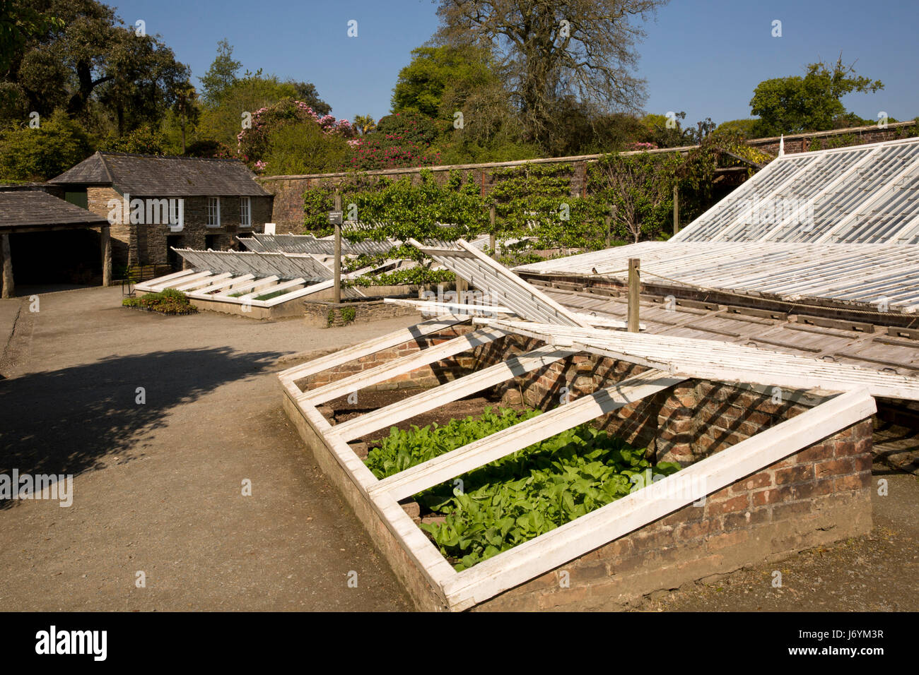 UK, Cornwall, St Austell, Pentewan, Lost Gardens of Heligan, Walled