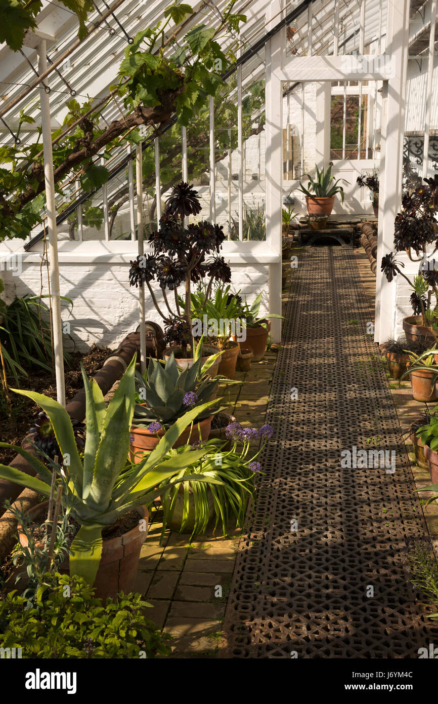 UK, Cornwall, St Austell, Pentewan, Lost Gardens of Heligan, sensitive