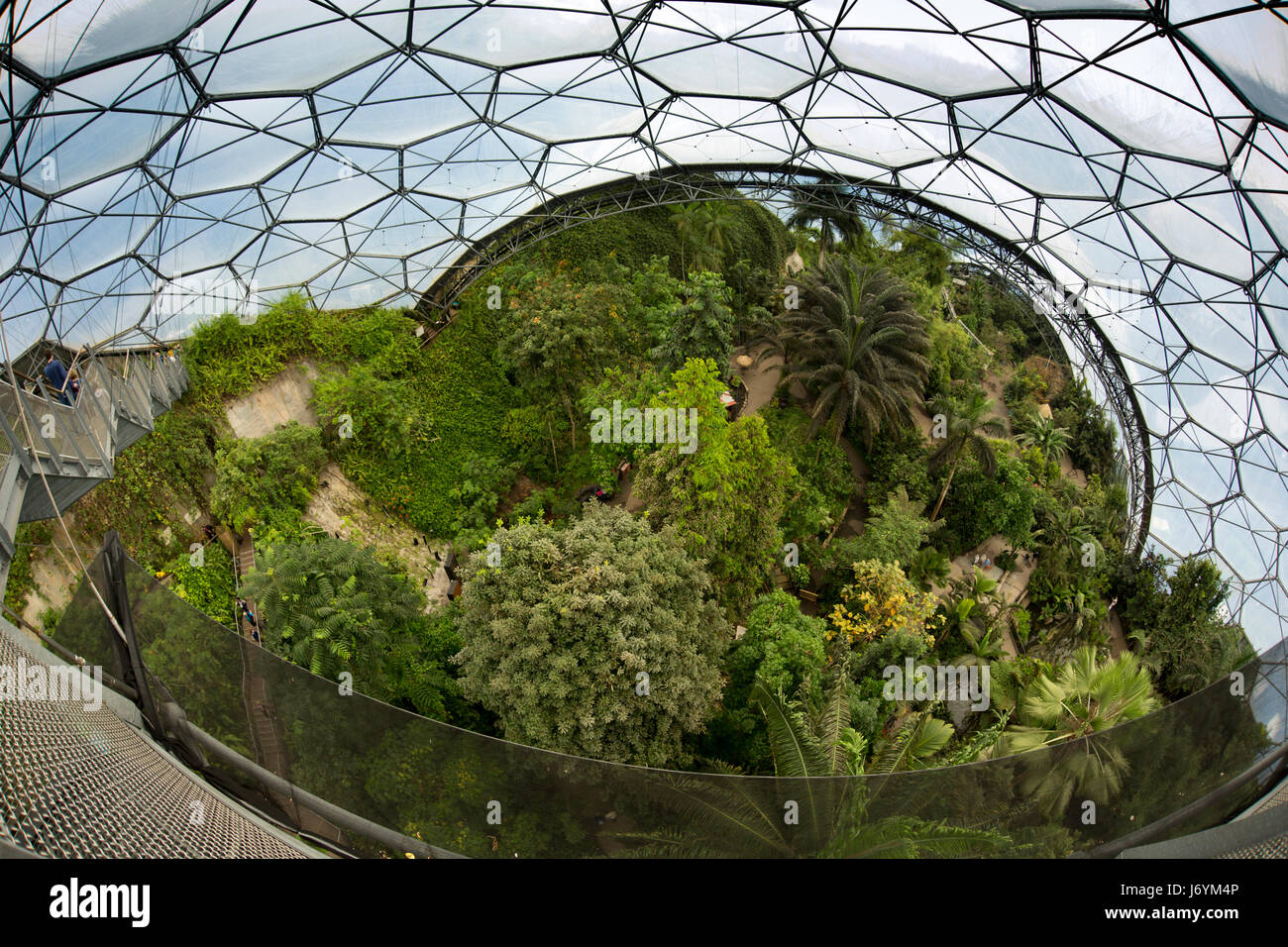 UK, Cornwall, St Austell, Bodelva, Eden Project, Rainforest Biome, wide angle view down from elevated platform Stock Photo