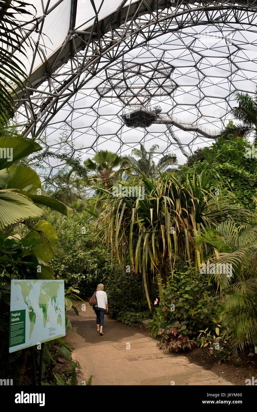 UK, Cornwall, St Austell, Bodelva, Eden Project, Rainforest Biome, visitor on path amongst tropical planting Stock Photo
