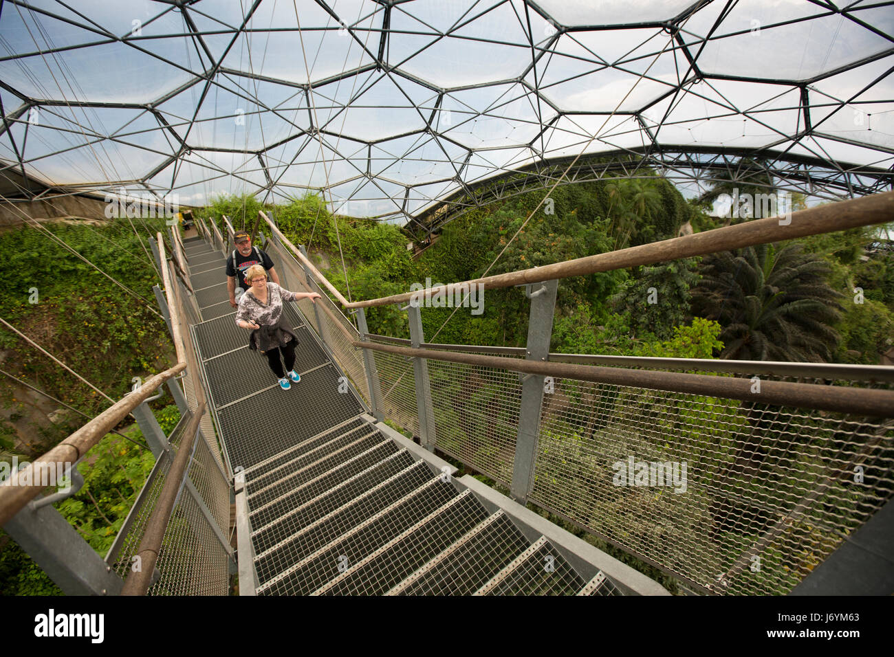 UK, Cornwall, St Austell, Bodelva, Eden Project, Rainforest Biome, visitors climbing steps to upper viewing platform Stock Photo