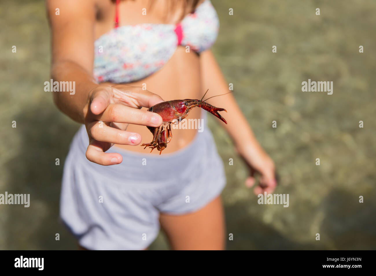 Girl holding a crayfish Stock Photo
