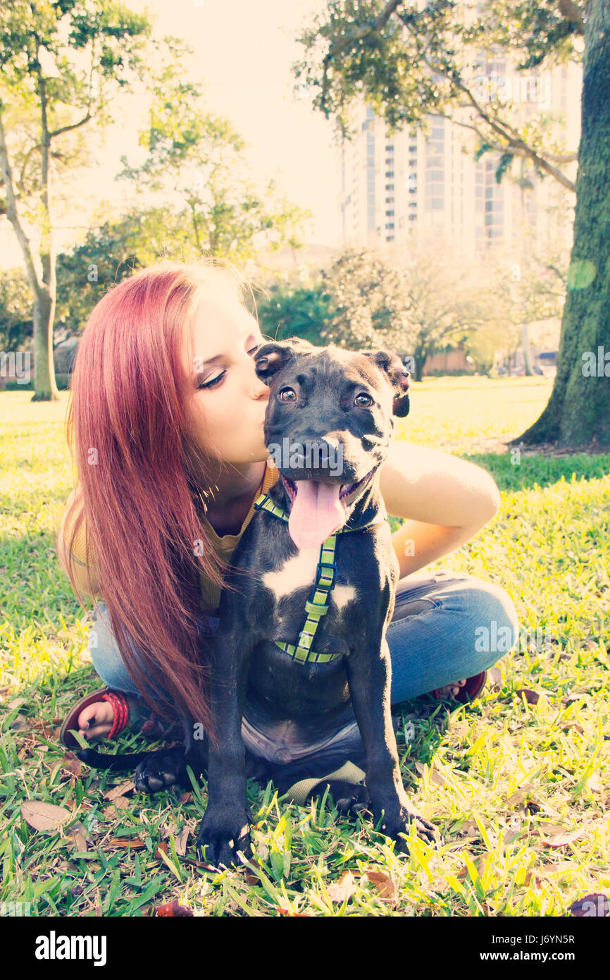 Woman sitting in park kissing Staffordshire terrier Puppy, Saint Petersburg, Florida, United States Stock Photo