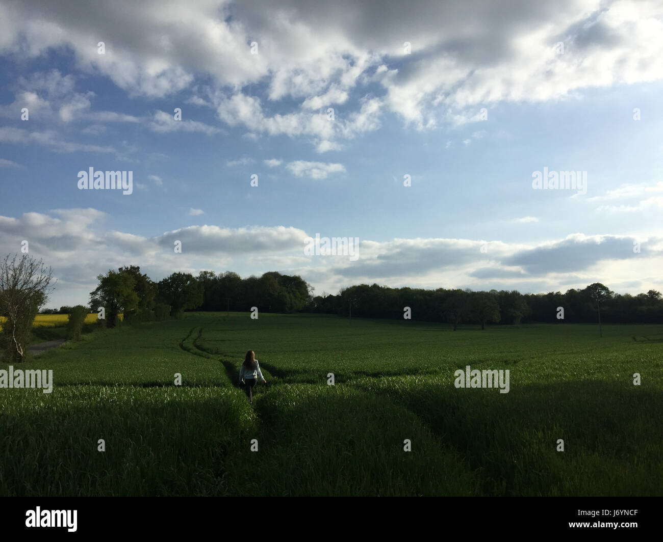 Girl walking through a wheat field, Niort, France Stock Photo