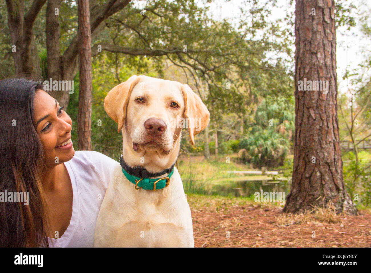 Woman sitting in forest with a dog, Saint Petersburg, Florida, United States Stock Photo