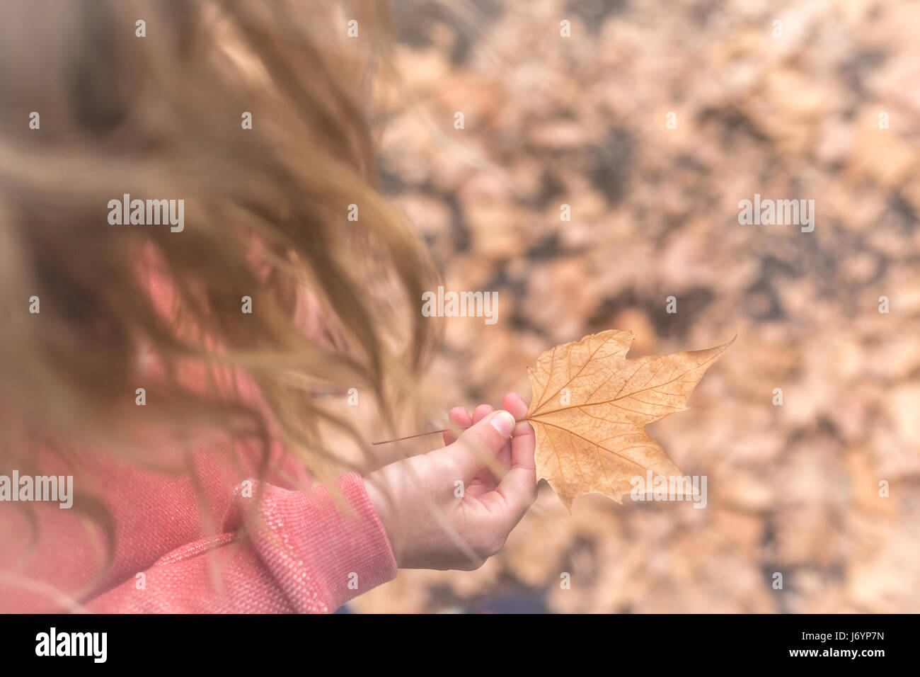 Portrait of a girl holding a leaf Stock Photo - Alamy