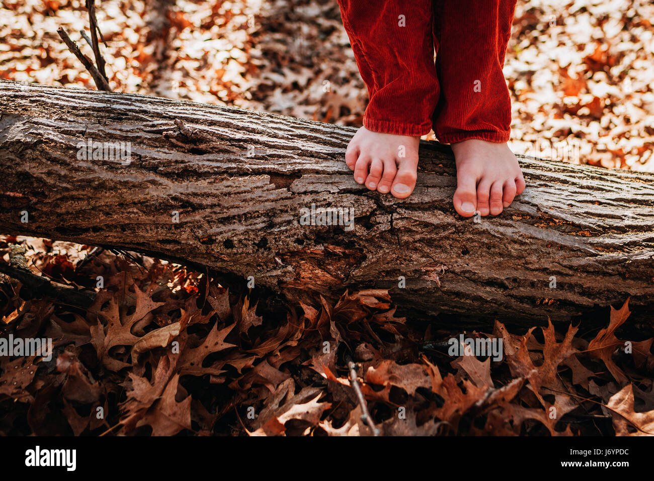 Close-up of boy standing on a log barefoot Stock Photo