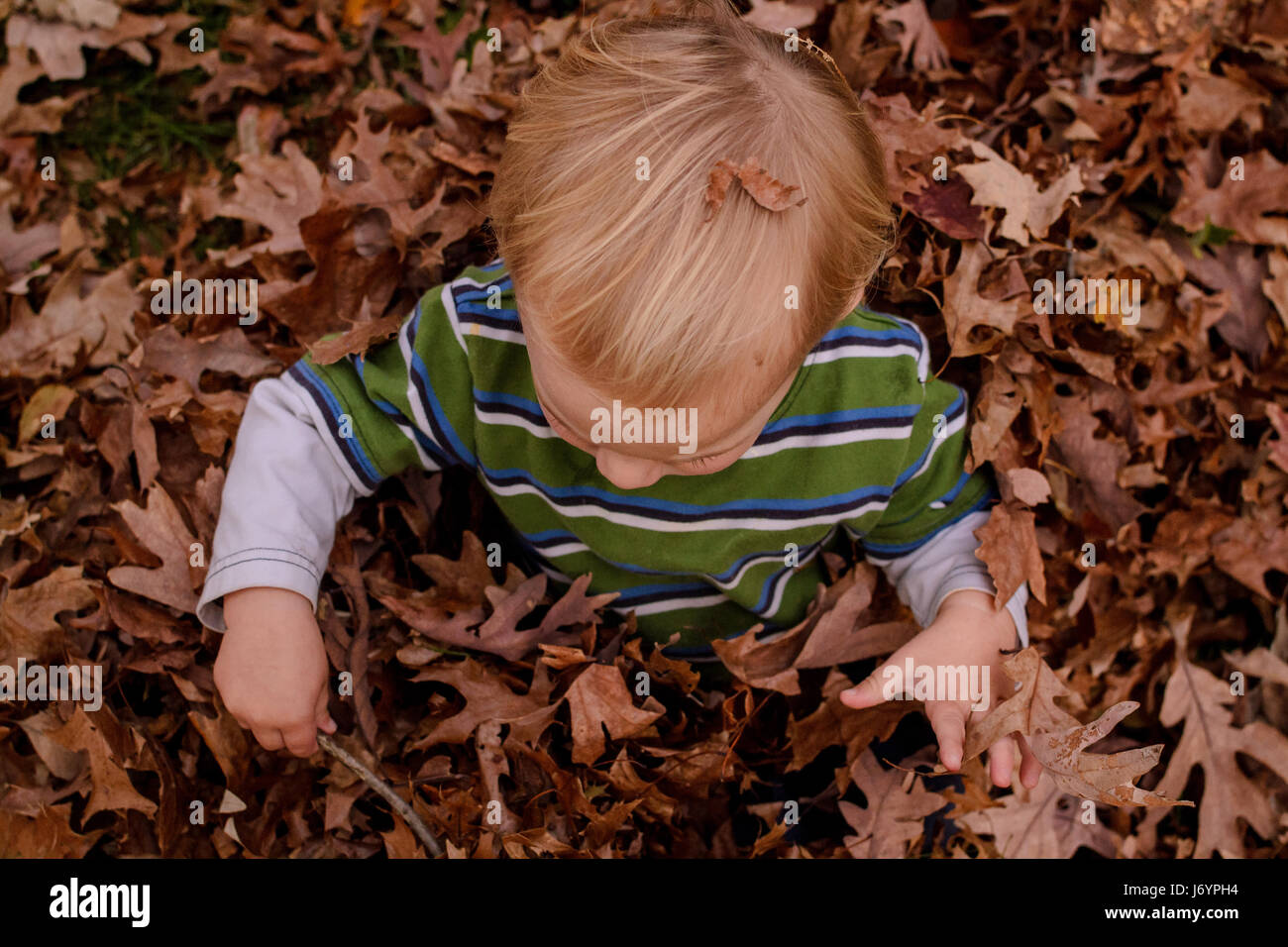 Boy playing in autumn leaves Stock Photo - Alamy