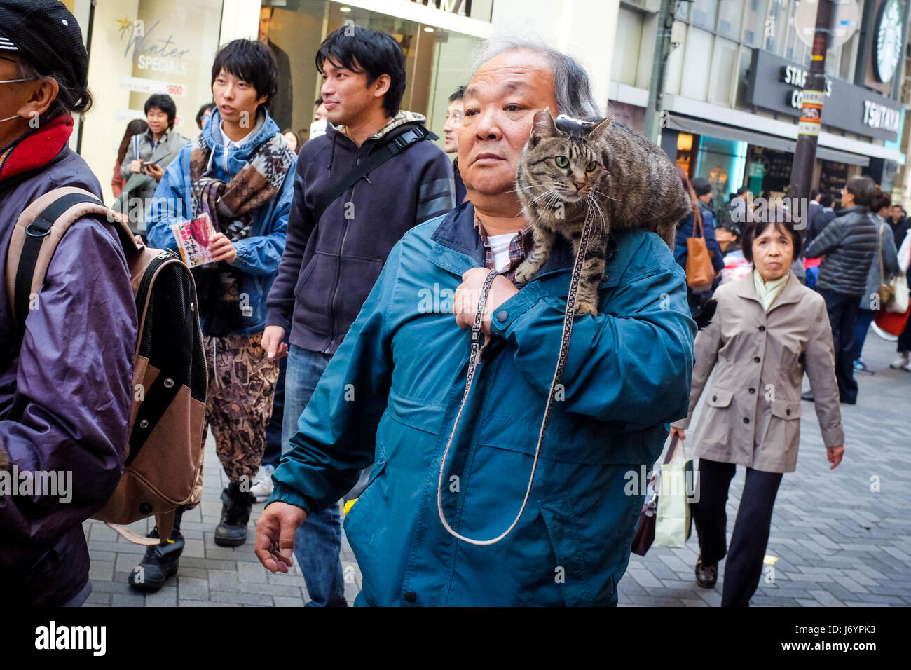 A man carries a cat on his shoulder in Osaka, Japan. Stock Photo