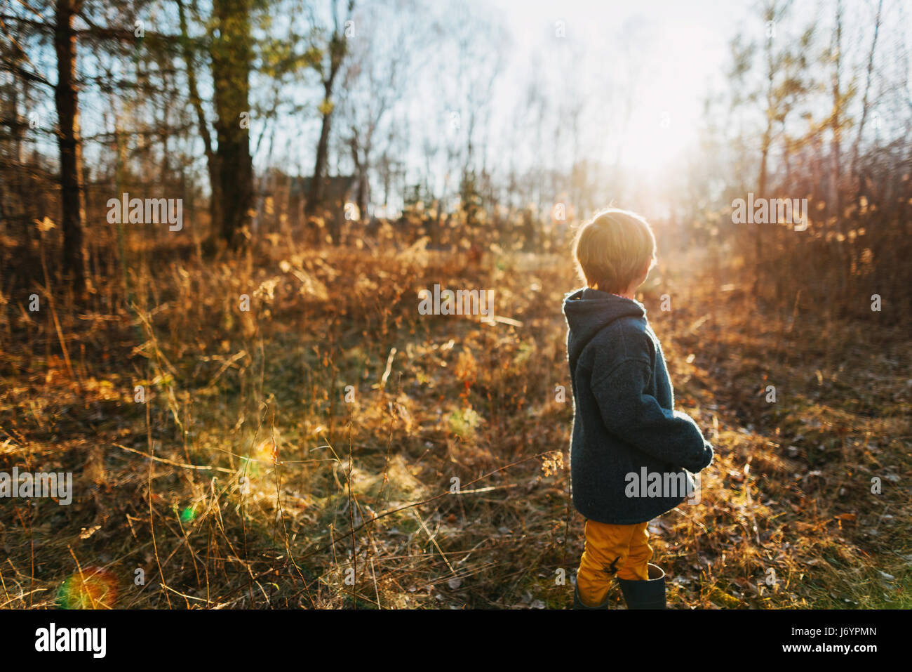 Boy standing on a trail in forest Stock Photo