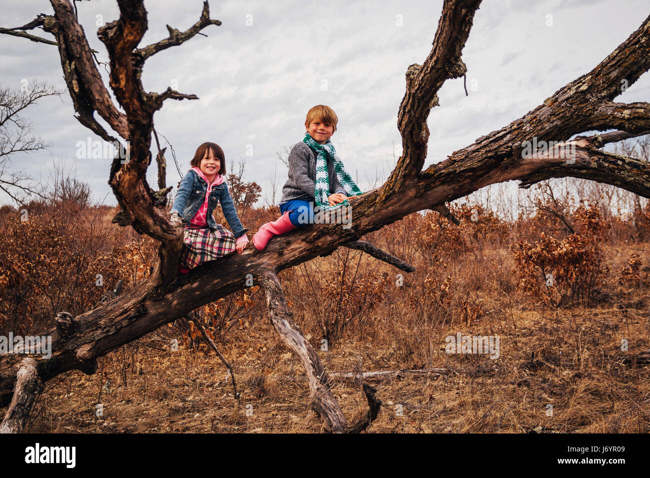 Boy and girl sitting in dead tree Stock Photo