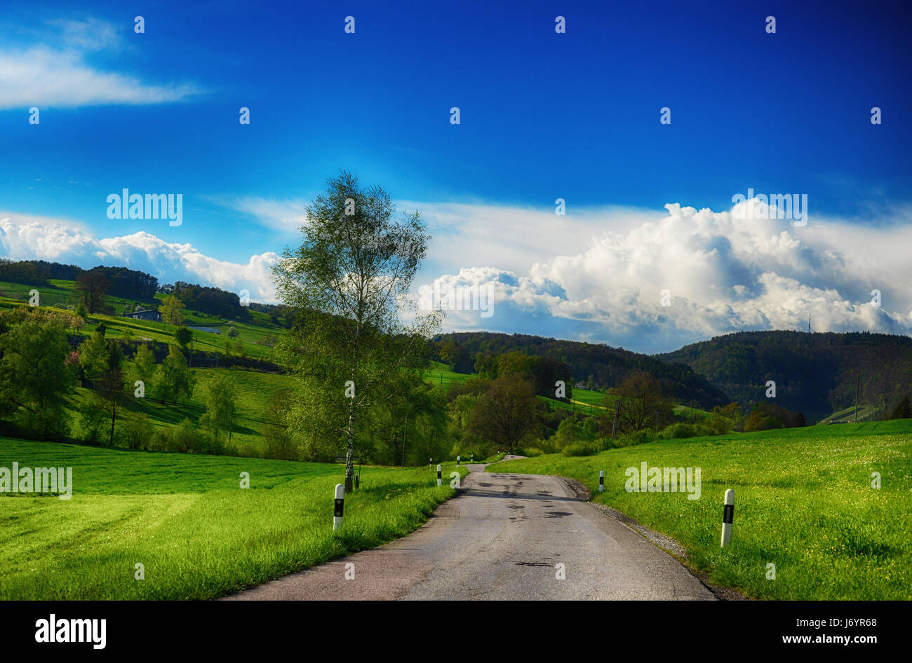 Road through rural landscape, Endingen, Aargau, Switzerland Stock Photo