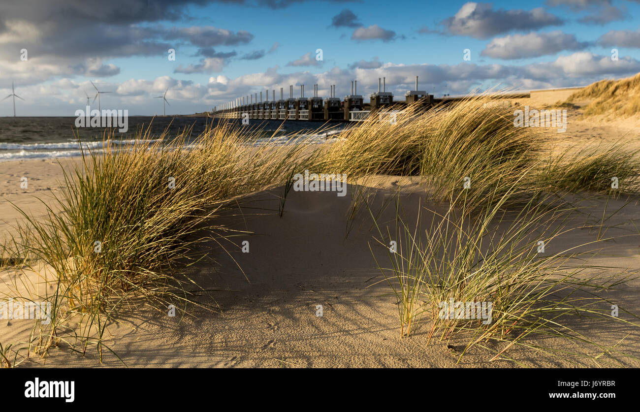 Delta Works and Sand dunes on the beach, Kamperland, Zeeland, Holland Stock Photo