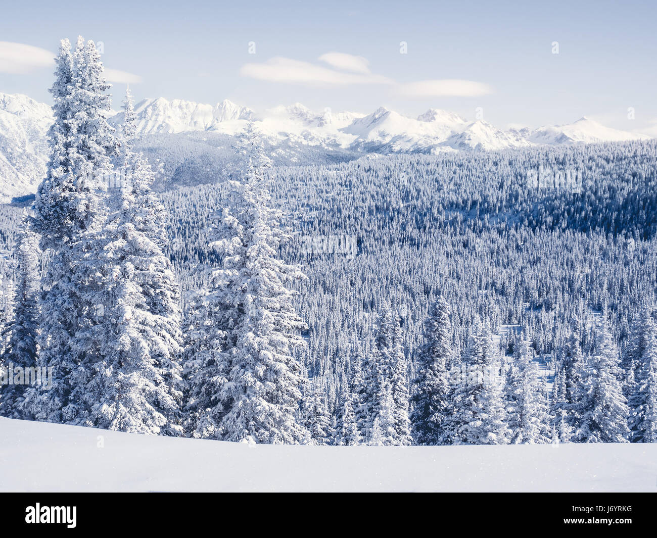 Snow covered landscape and evergreens, Vail, Colorado, United States Stock Photo