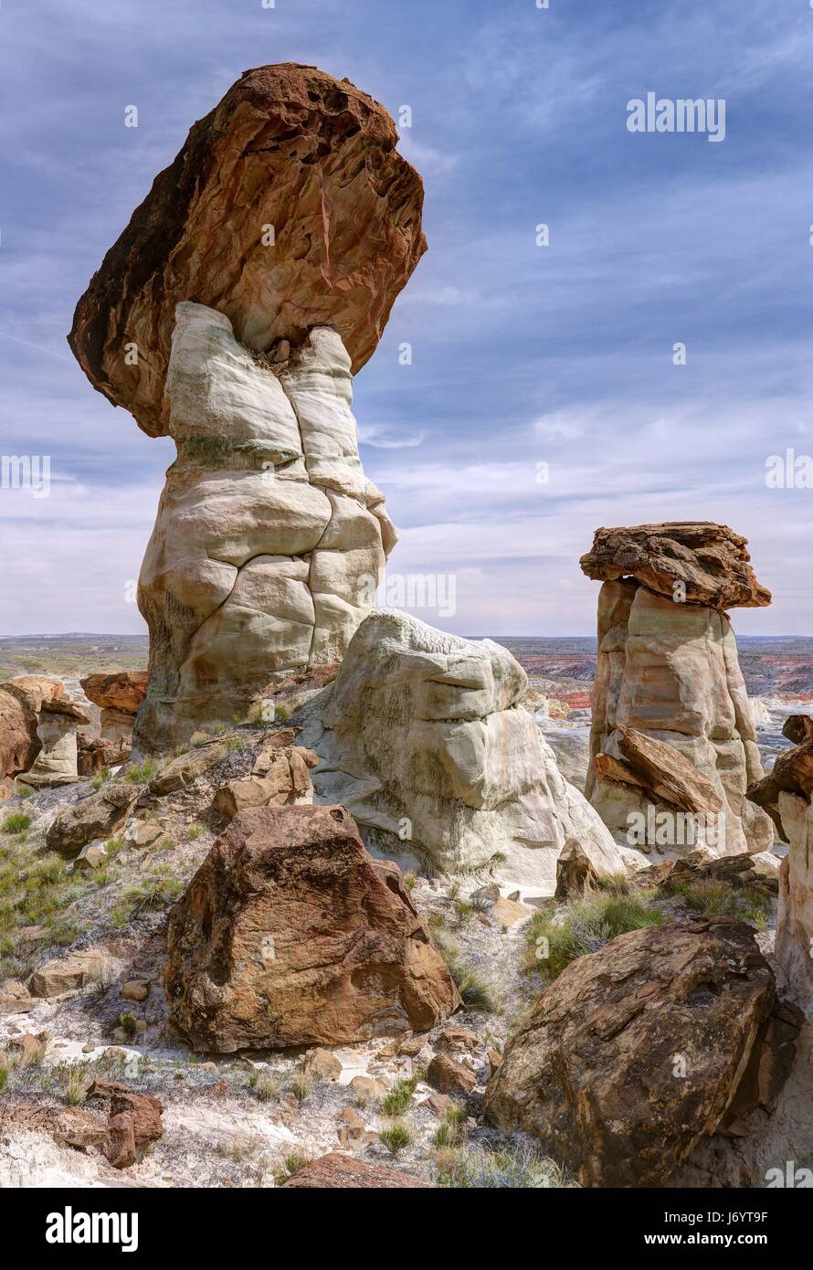 The Toadstools, Grand Staircase-Escalante National Monument, Utah, United States Stock Photo