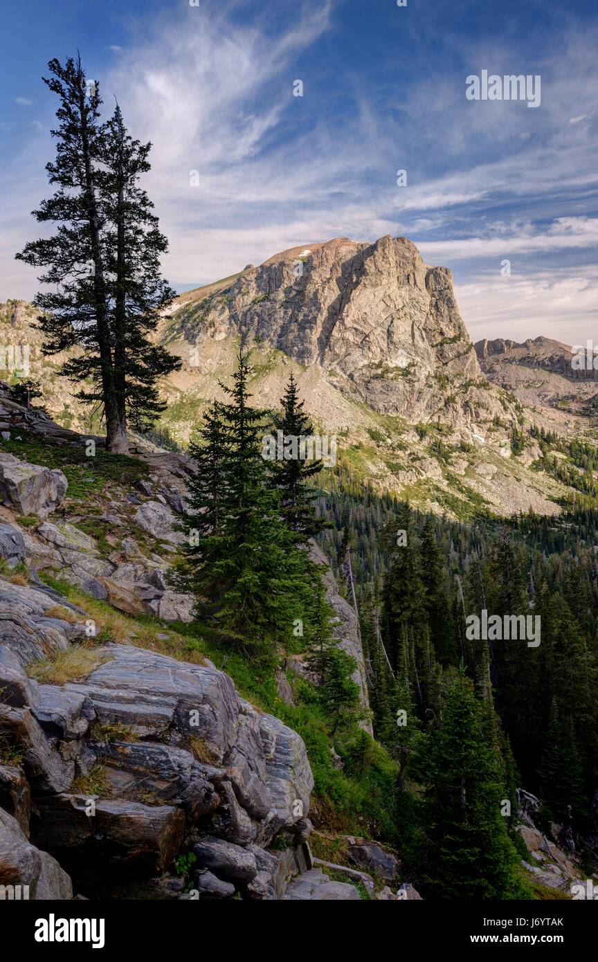 Cascade Canyon and Pine Trees, Grand Teton National Park, Wyoming, United States Stock Photo