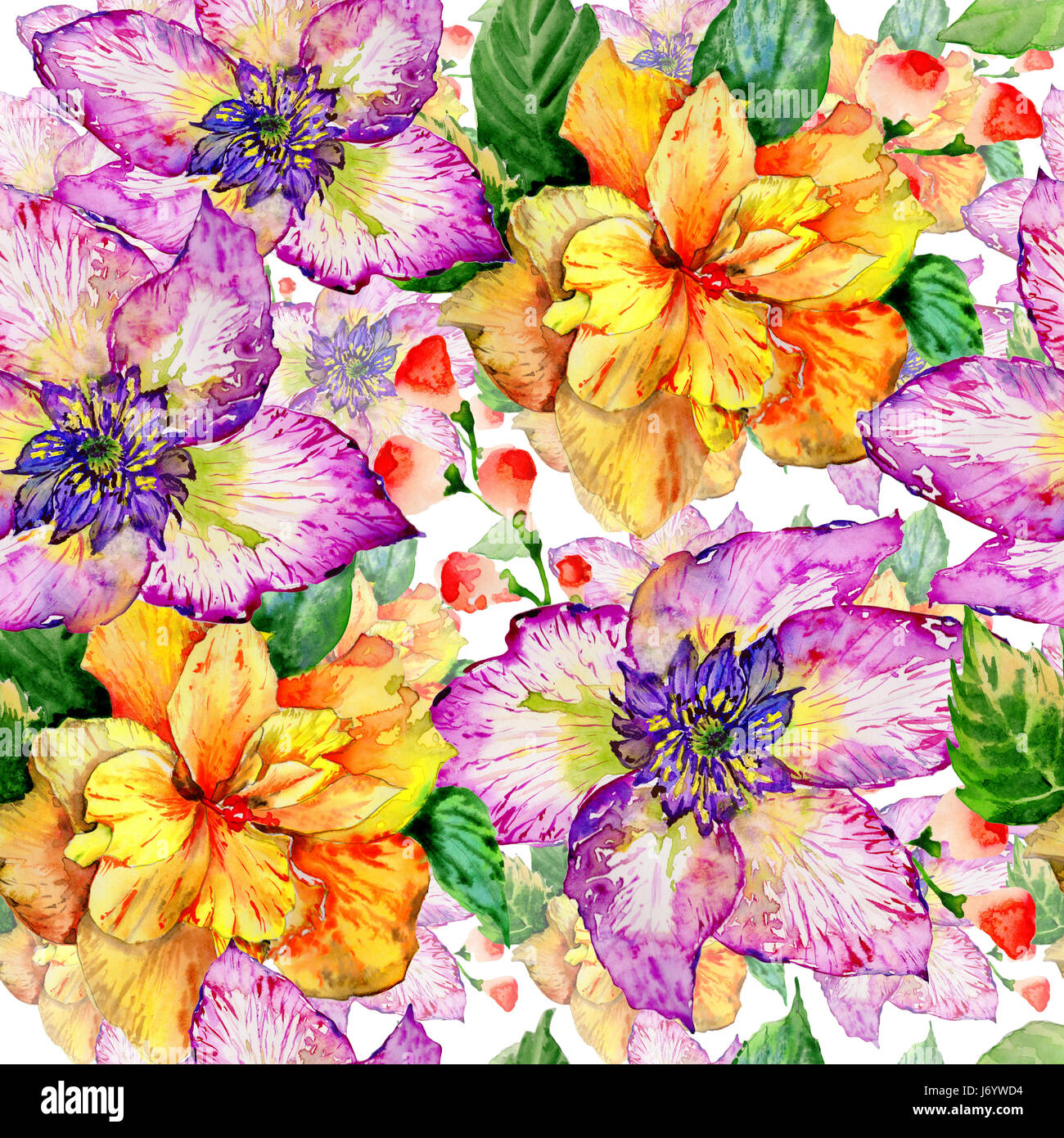 Wildflower hibiscus flower pattern in a watercolor style isolated. Aquarelle  wild flower for background, texture, wrapper pattern, frame or border Stock  Photo - Alamy