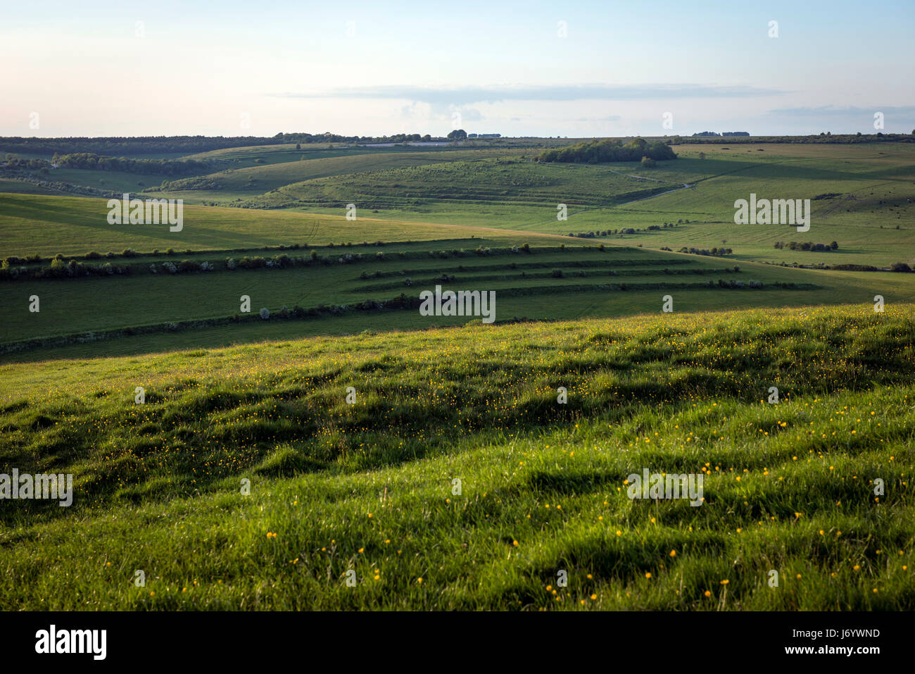 Ancient field system viewed from Scratchbury Iron Age hill fort near Warminster, Wiltshire, UK Stock Photo