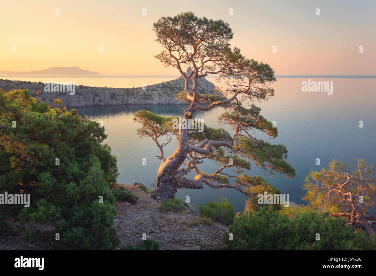 Morning sky with colorful cloud hi-res stock photography and images - Alamy