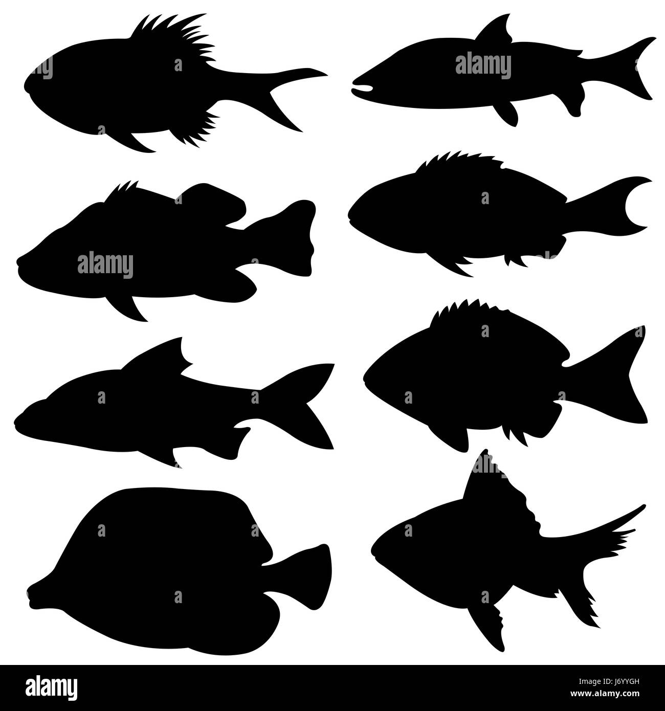 Set of different small fish silhouettes isolated on white Stock Photo