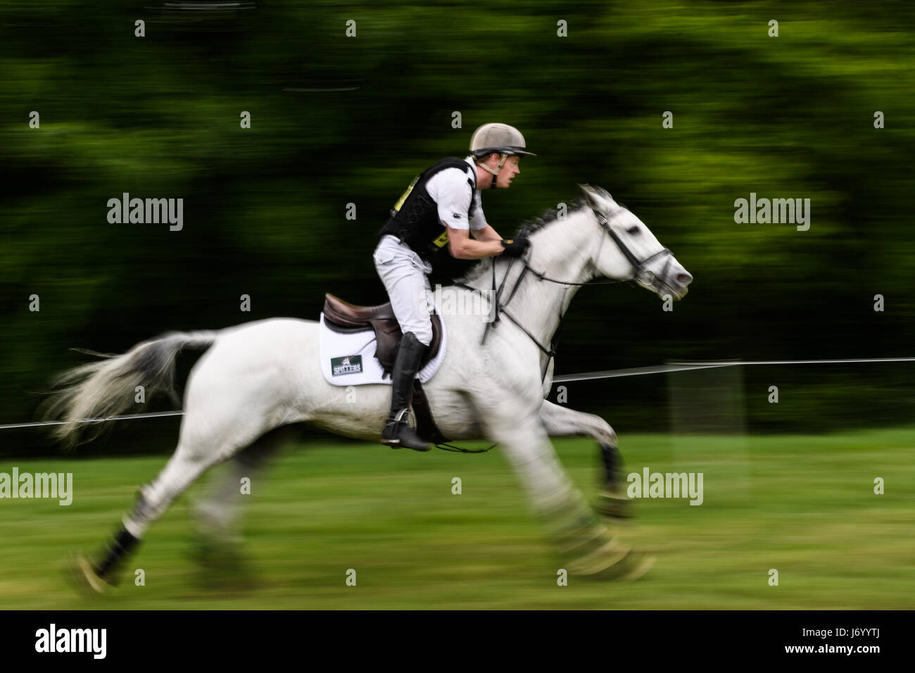 Angus Smales on his white horse A Bit Much gallops along a straight section in front of a woodland on a sunny day during the cross country phase of th Stock Photo