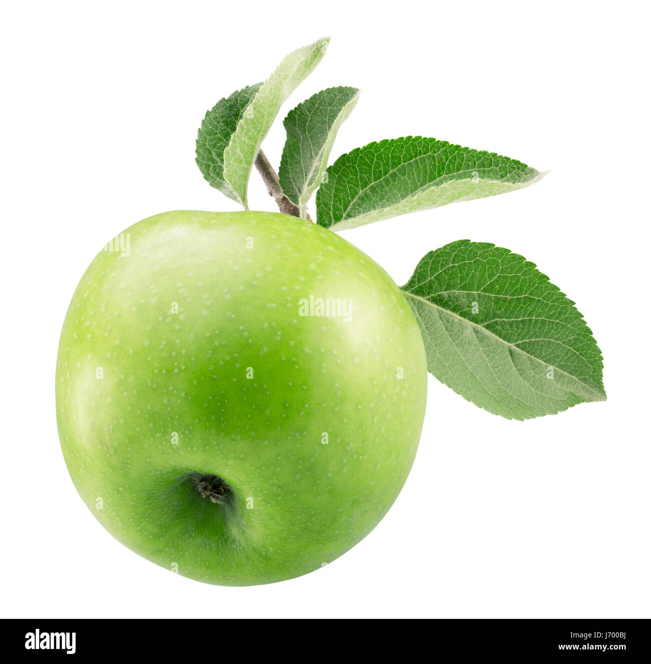 green apple isolated on a white background Stock Photo - Alamy