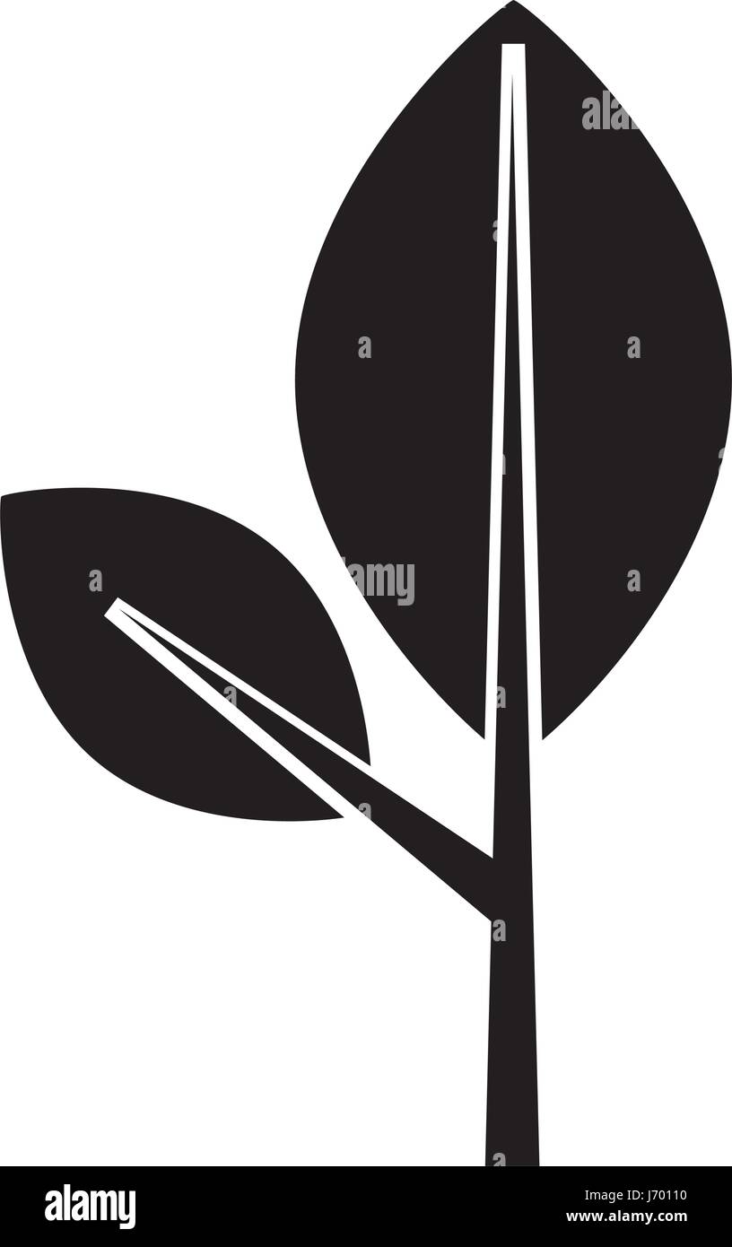 leaf plant isolated icon Stock Vector Image & Art - Alamy