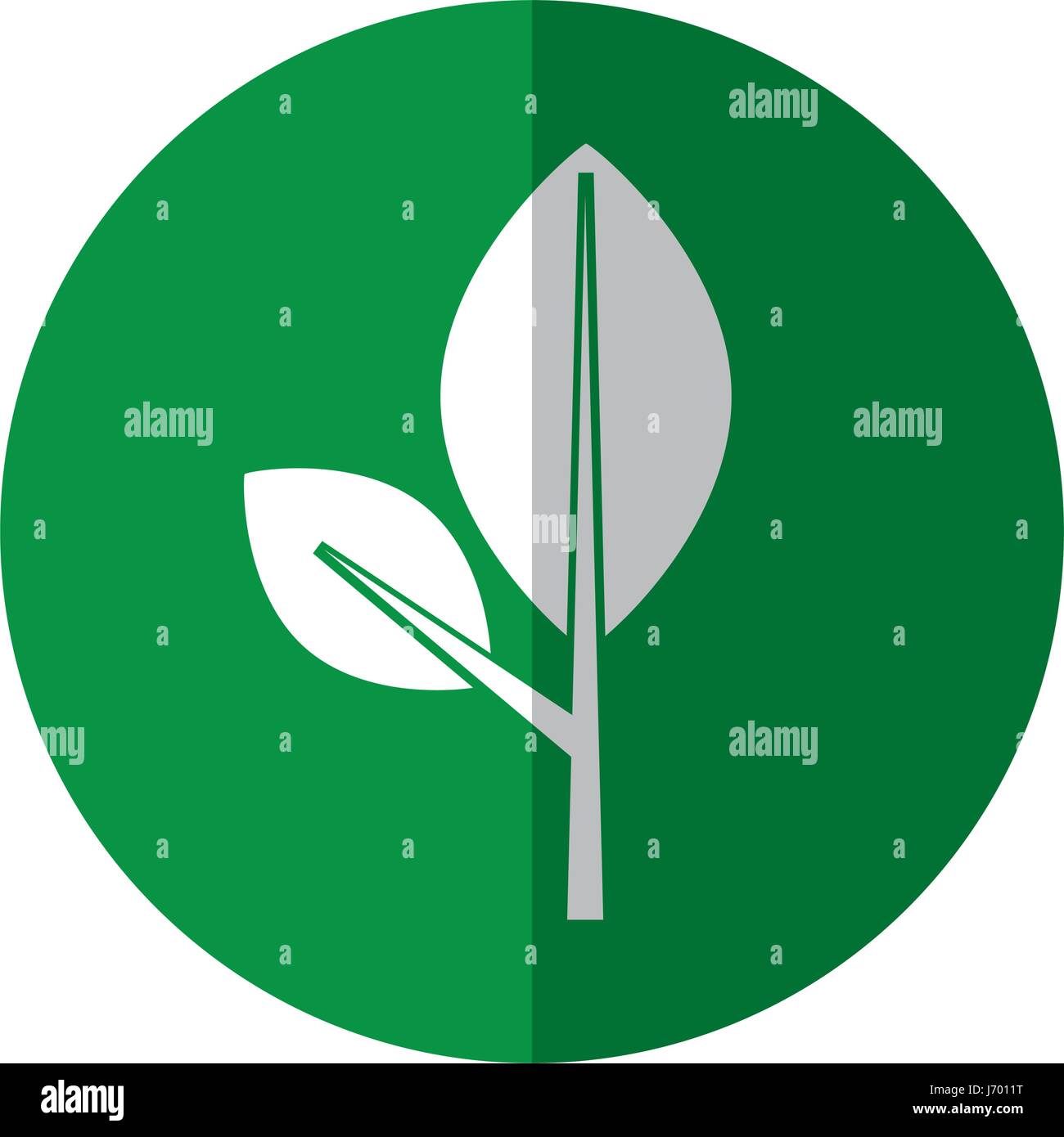 leaf plant isolated icon Stock Vector Image & Art - Alamy