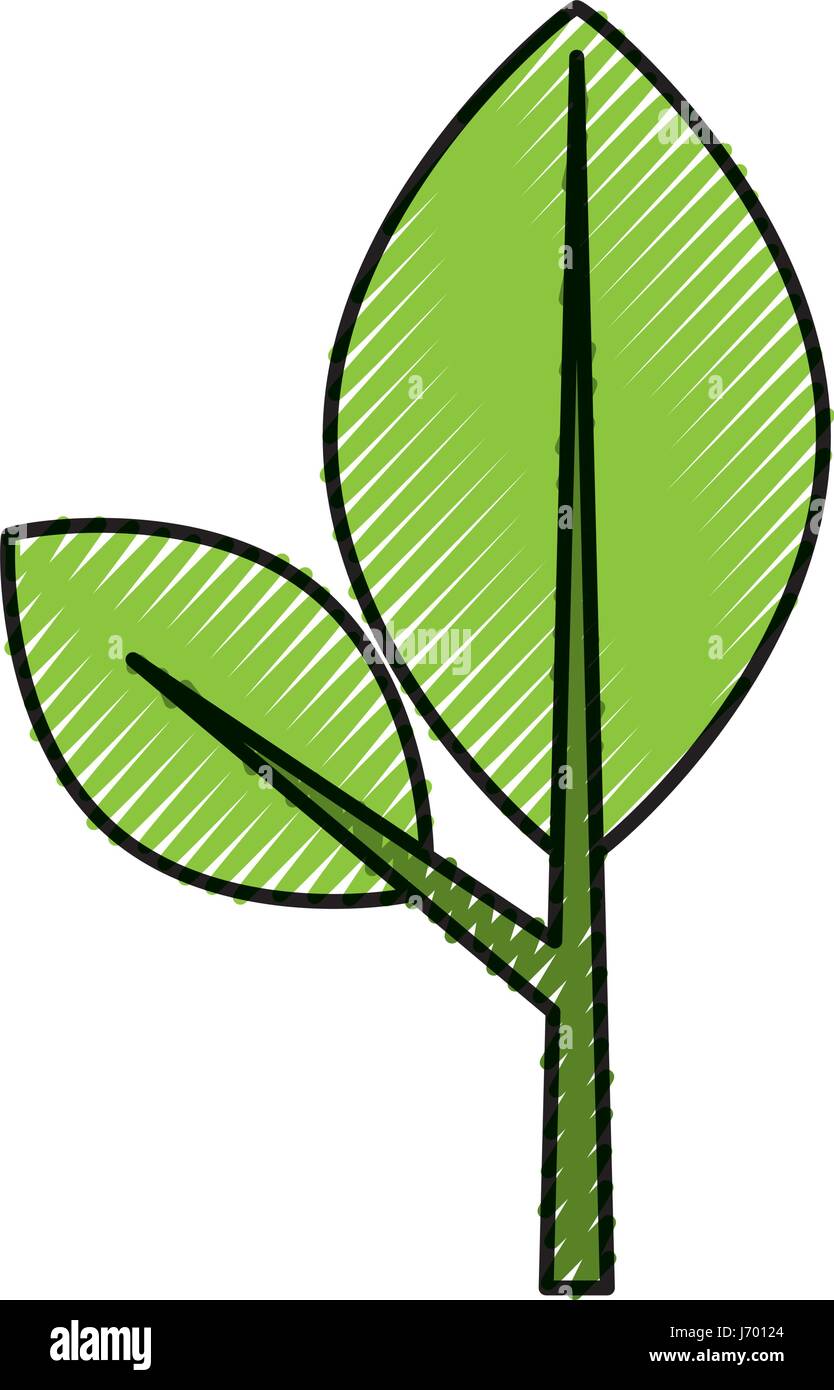 leaf plant isolated icon Stock Vector Image & Art - Alamy