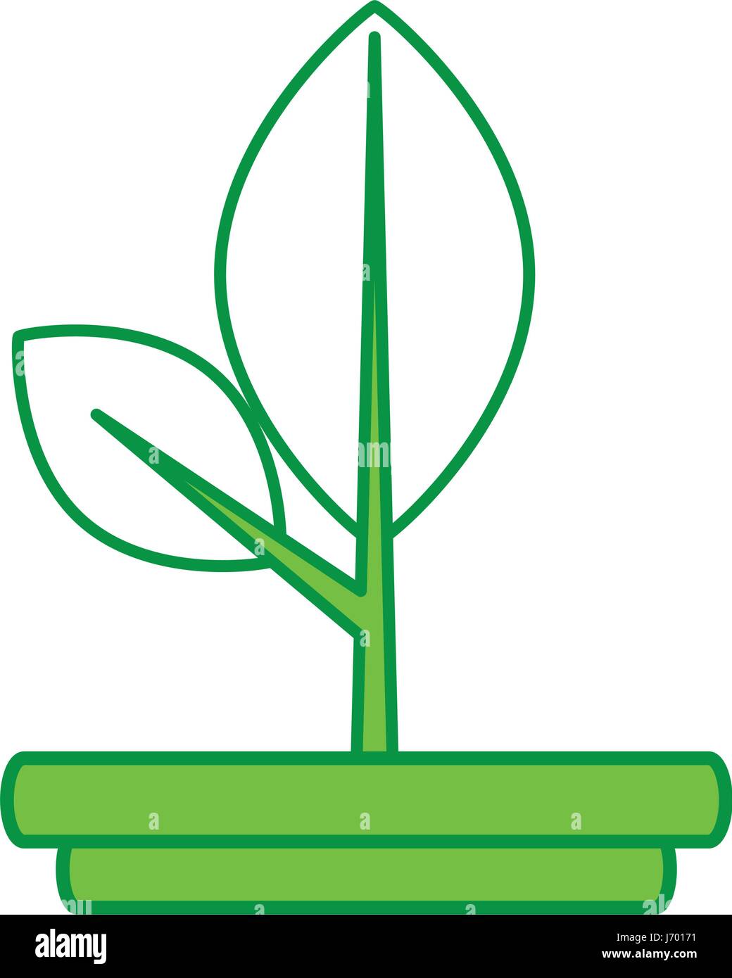 leaf plant isolated icon Stock Vector Image & Art - Alamy