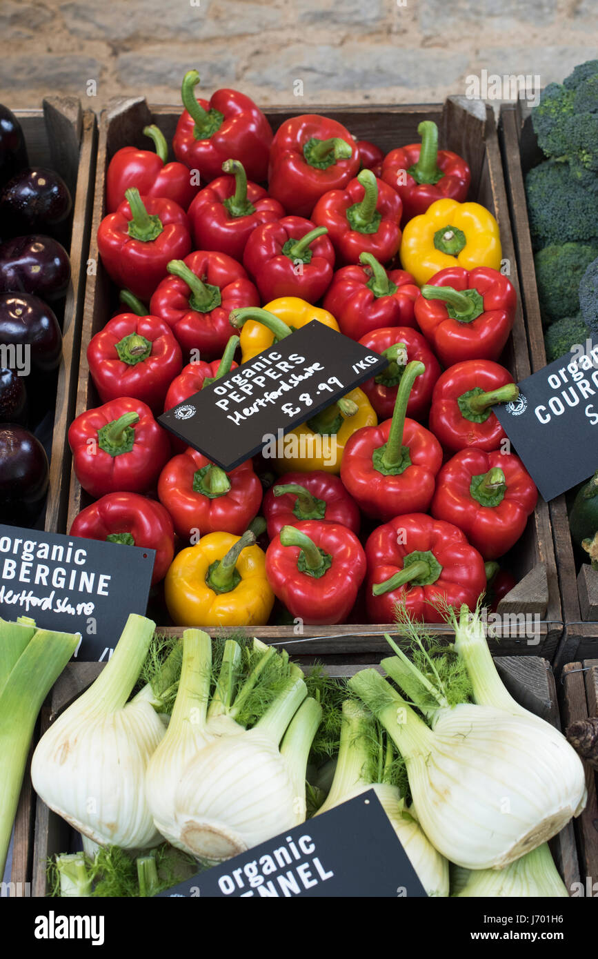 Organic vegetables for sale at Daylesford Organic farm shop summer