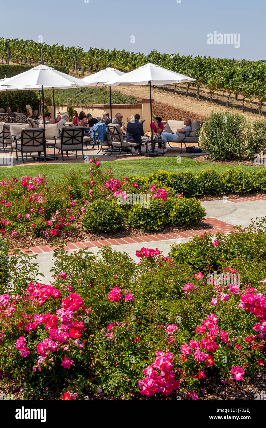 tourists, outdoor wine tasting, wine tasting, Chateau, Domaine Carneros