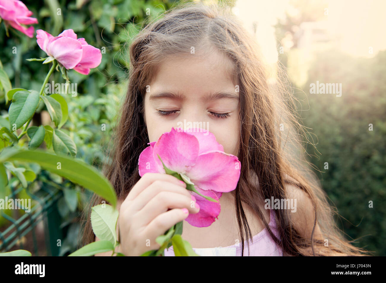 Little girl smelling flower Stock Photo - Alamy