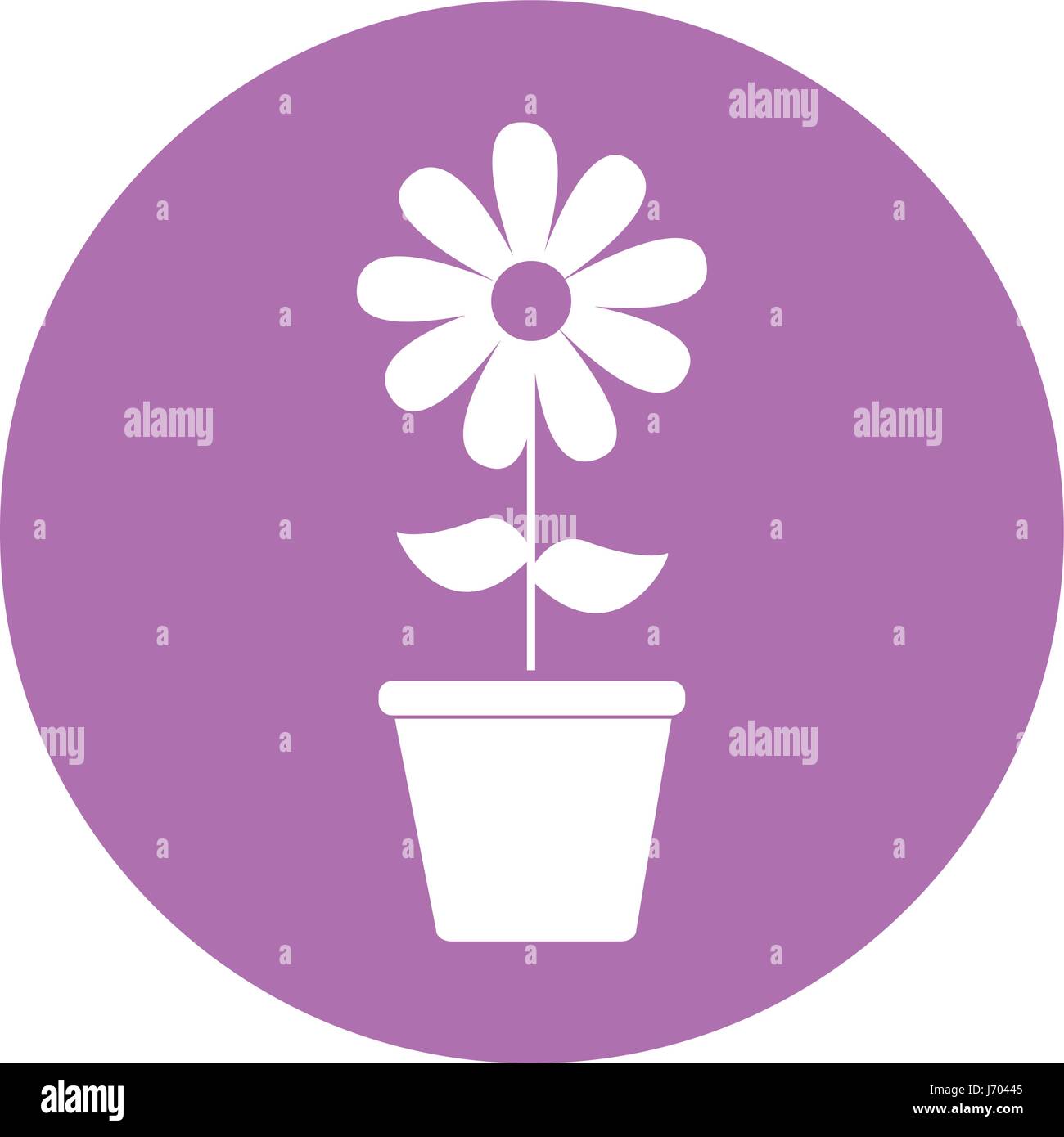 cute sunflower garden with pot isolated icon Stock Vector Image & Art ...