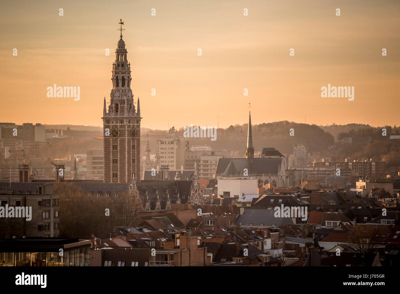 skyline of Leuven, Belgium Stock Photo Alamy