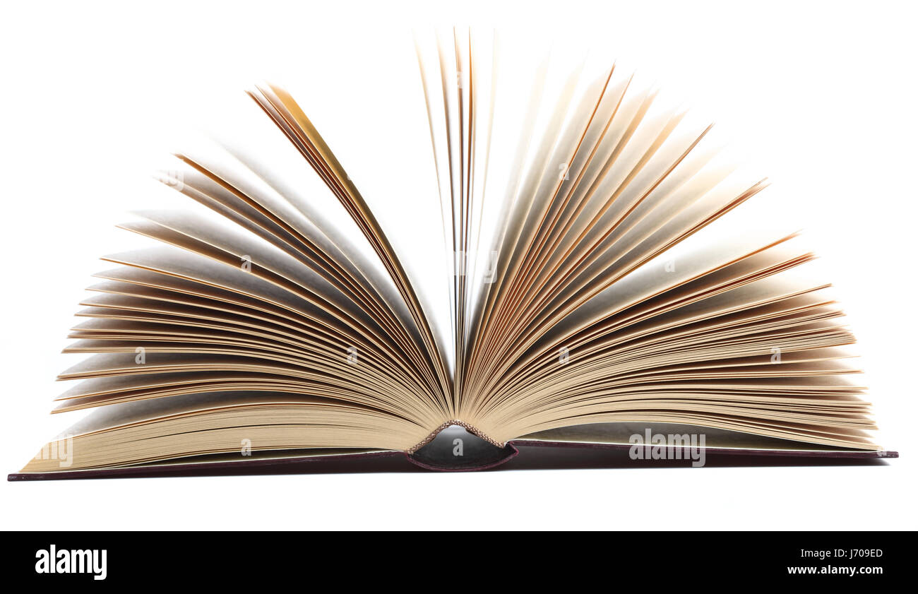 books library bookshelf book store book study coloured colourful ...