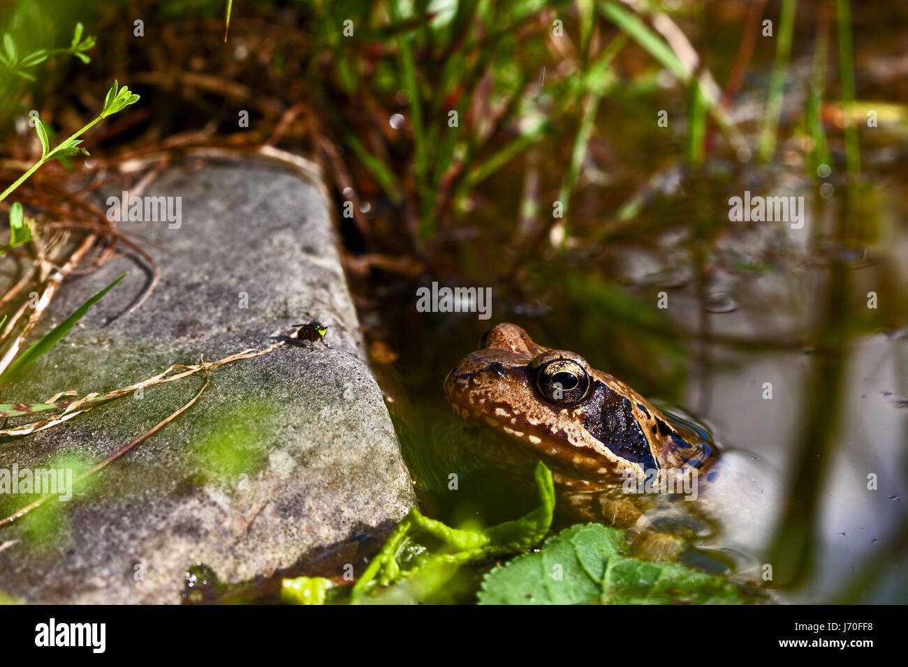 just come even closer ........ Stock Photo