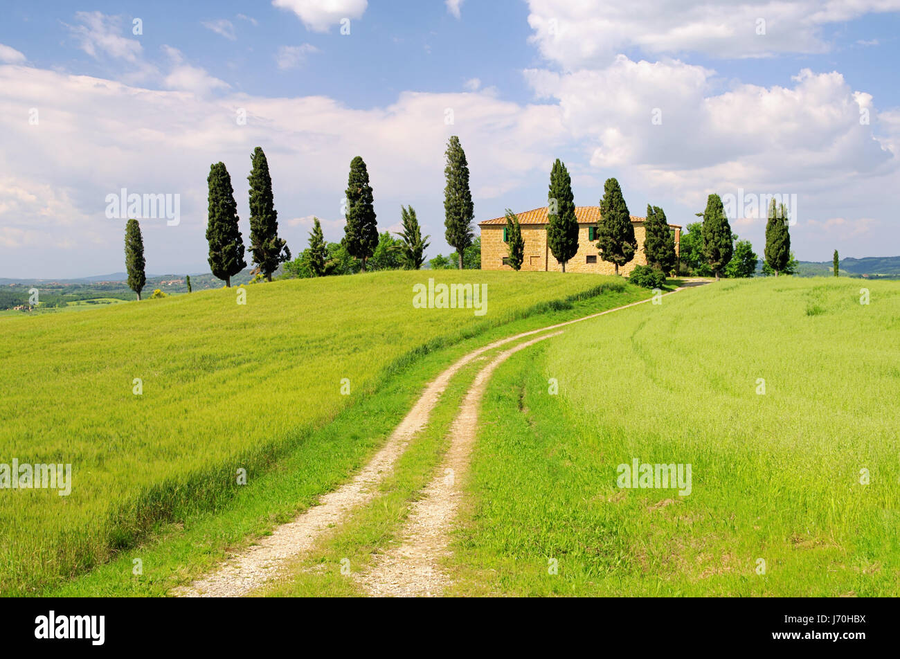 house building hill spring tuscany cypress italy blue house building ...