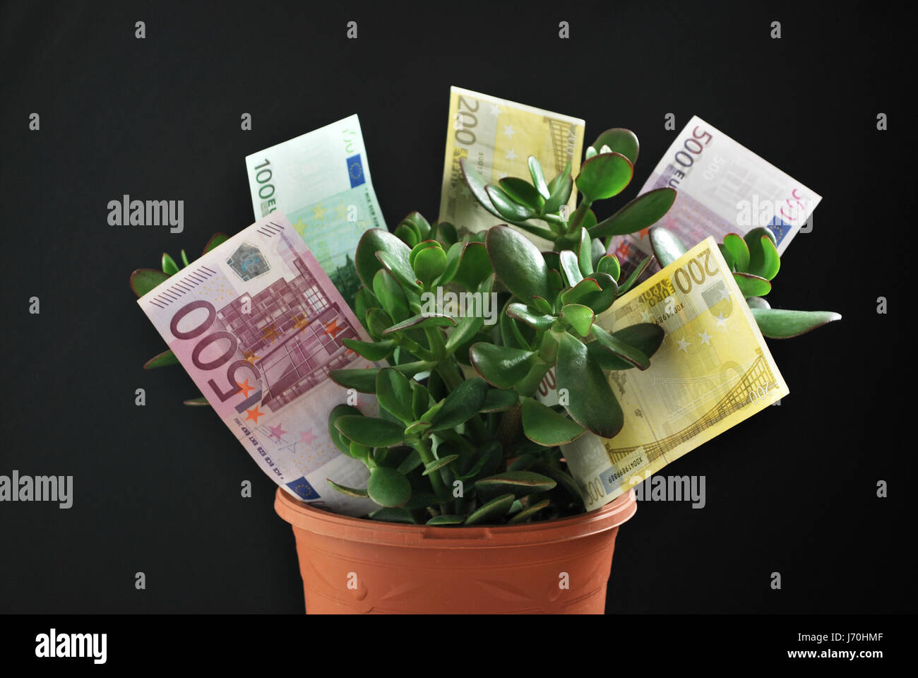 bank notes money investment grow augment interest investment money bank