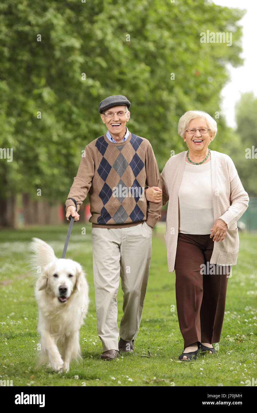 Full length portrait of a senior couple with a dog walking in the park Stock Photo