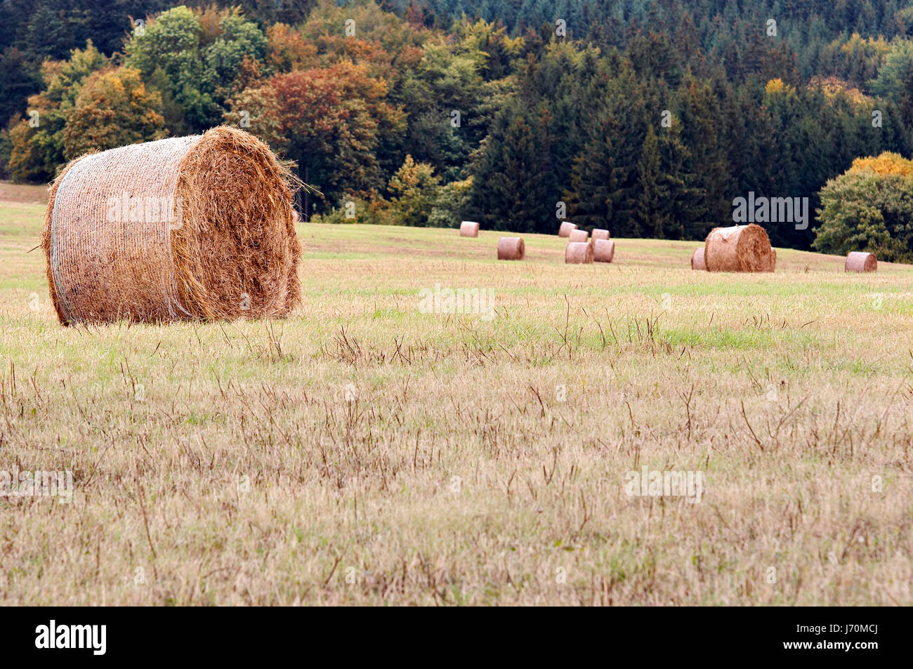 Truss of hay hi-res stock photography and images - Alamy