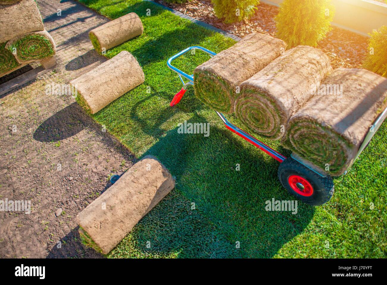 Natural Grass Turf Installation in the Backyard Garden. Gardening Theme ...